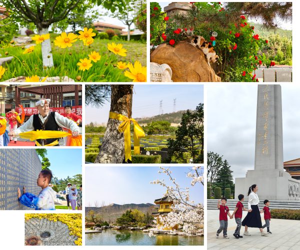 最近几月的拍照随机摘录🌸